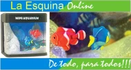 Adorno Mini Acuario USB o Bateria.